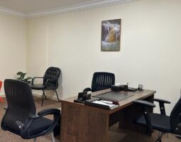 دكتورة نجوان الغمري